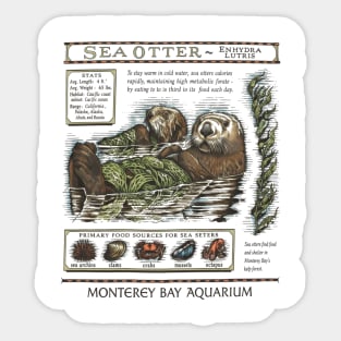 Monterey bay aquarium otter - Sea otter Sticker